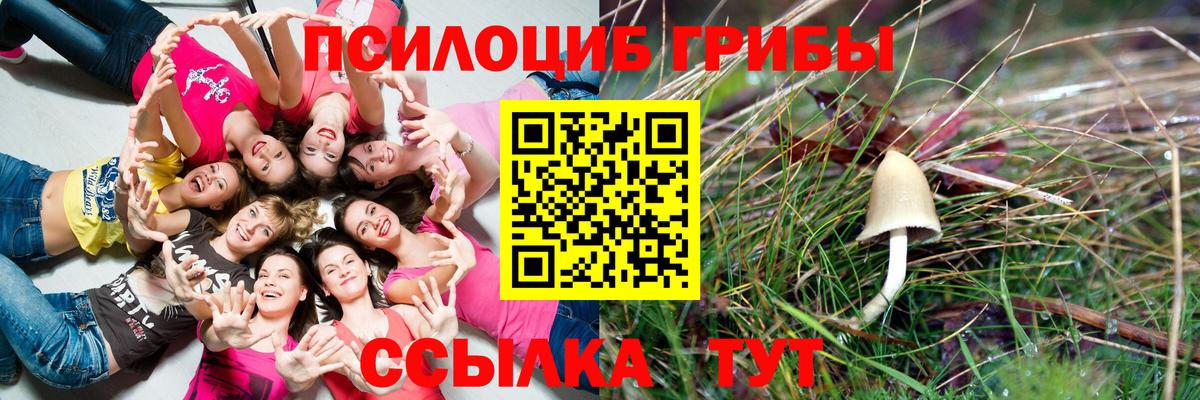 Аксай  Псилоцибиновые грибы GOLDEN TEACHER  Вход с VPN 